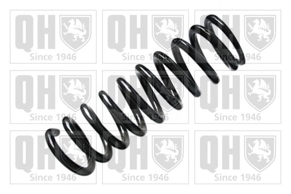 Suspension Spring (QCS6743)