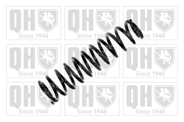 Suspension Spring (QCS7301)