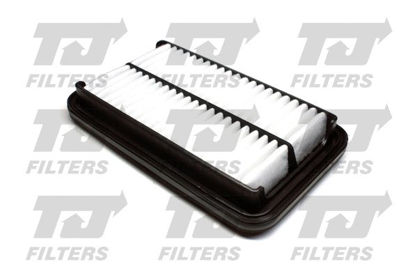 Air Filter (QFA0950)