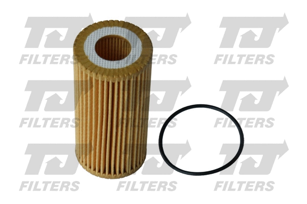 Oil Filter (QFL0309)