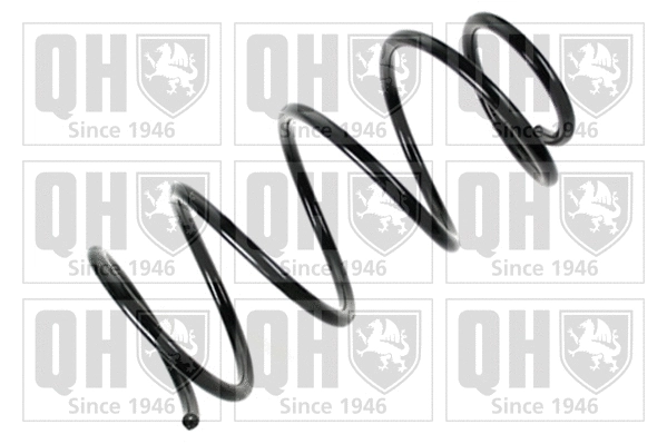 Suspension Spring (QCS8058)