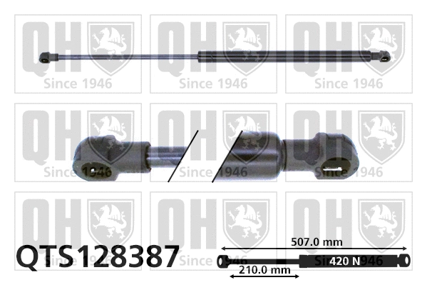 Gas Spring, boot/cargo area (QTS128387)