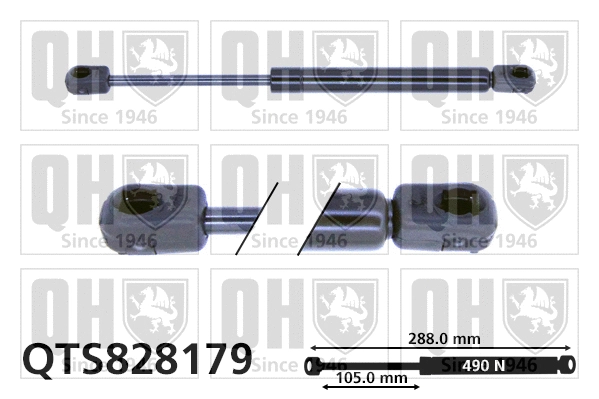 Gas Spring, bonnet (QTS828179)