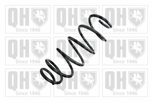 Suspension Spring (QCS8874)
