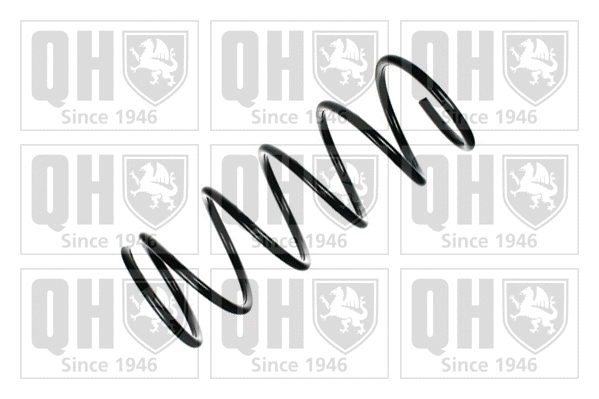 Suspension Spring (QCS6189)