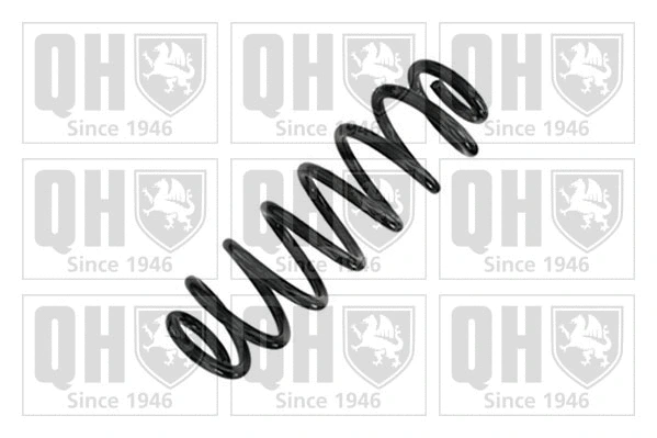 Suspension Spring (QCS9191)