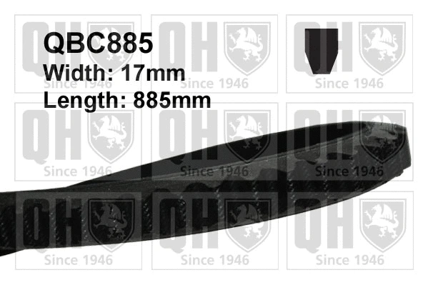 V-Belt (QBC885)