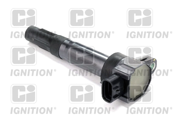 Ignition Coil (XIC8494)