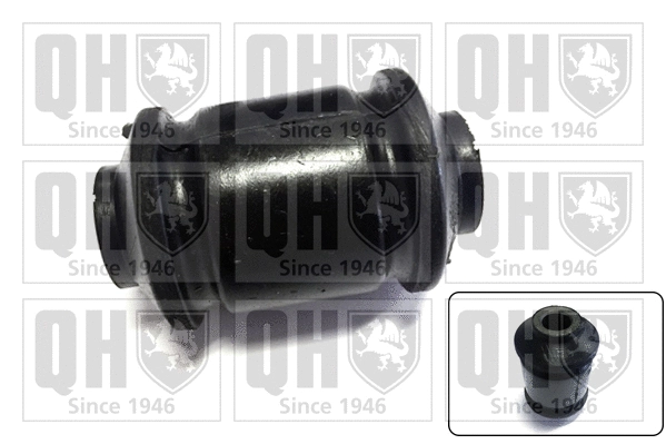 Mounting, control/trailing arm (EMS8280)