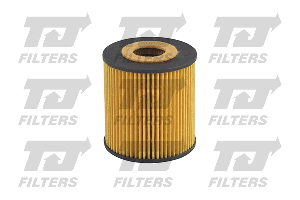 Oil Filter (QFL0124)