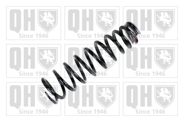 Suspension Spring (QCS5300)