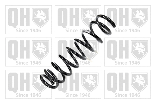 Suspension Spring (QCS6713)