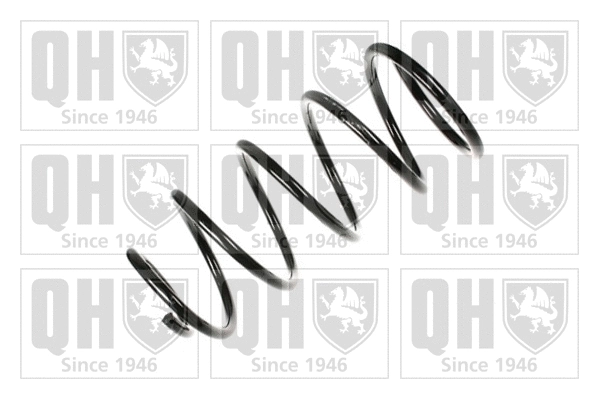 Suspension Spring (QCS5689)