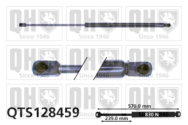 Gas Spring, boot/cargo area (QTS128459)
