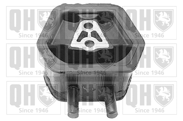 Mounting, engine (EM4050)