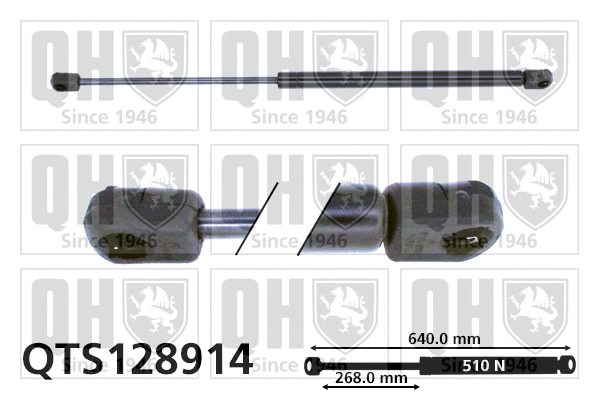Gas Spring, boot/cargo area (QTS128914)