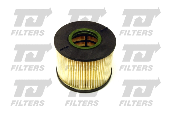 Fuel Filter (QFF0195)