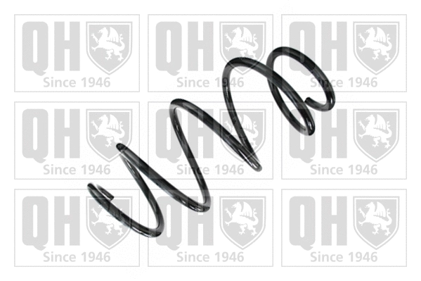 Suspension Spring (QCS5663)