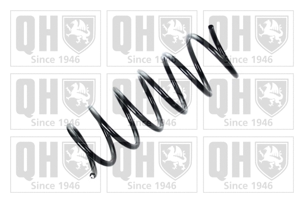 Suspension Spring (QCS6489)