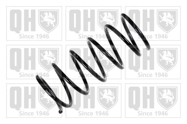 Suspension Spring (QCS6452)