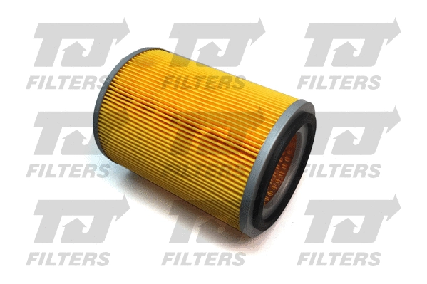 Air Filter (QFA0485)