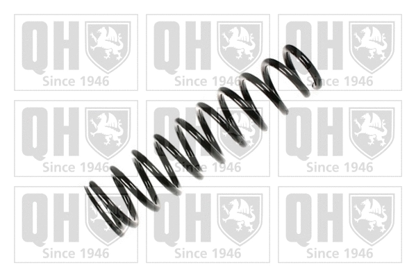 Suspension Spring (QCS7965)