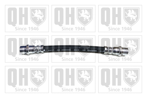 Brake Hose (BFH4920)