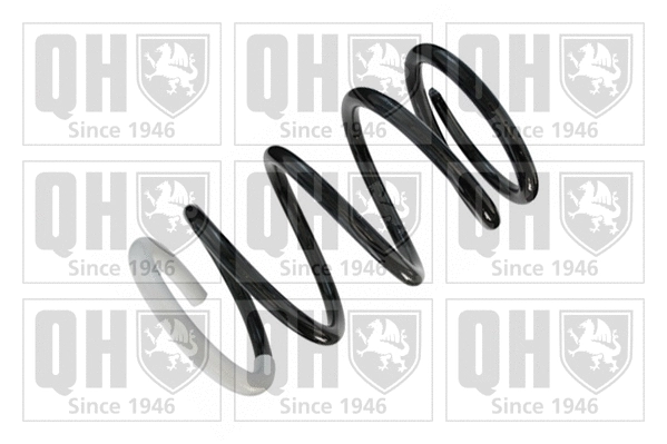 Suspension Spring (QCS5647)