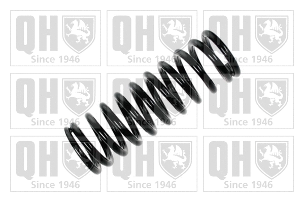 Suspension Spring (QCS5960)