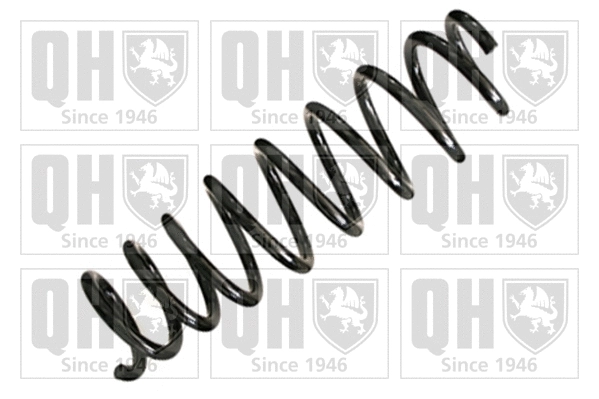 Suspension Spring (QCS5617)