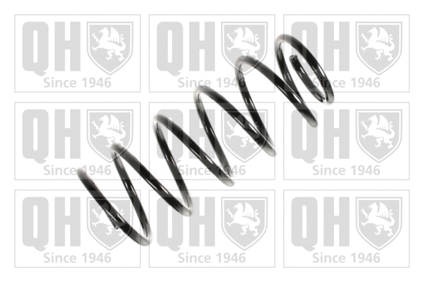 Suspension Spring (QCS5953)