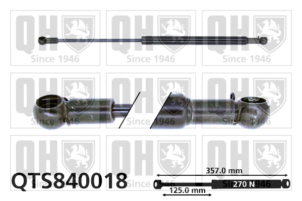 Gas Spring, boot/cargo area (QTS840018)