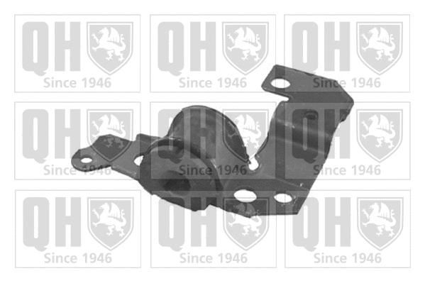 Mounting, control/trailing arm (EMS8036)