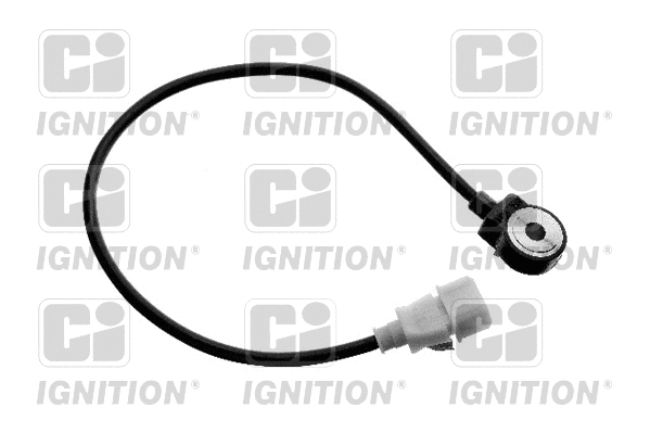 Knock Sensor (XKS31)