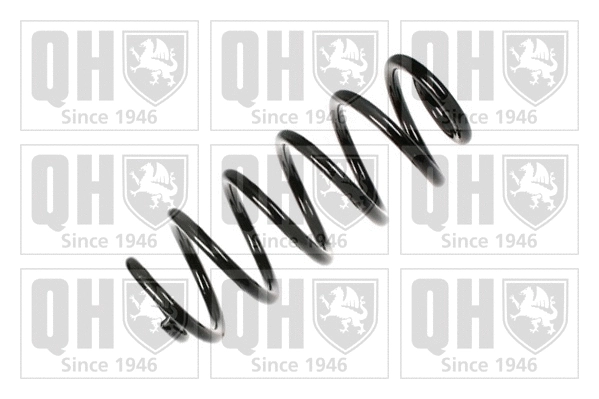 Suspension Spring (QCS6419)