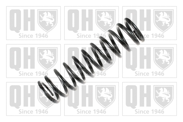 Suspension Spring (QCS7604)