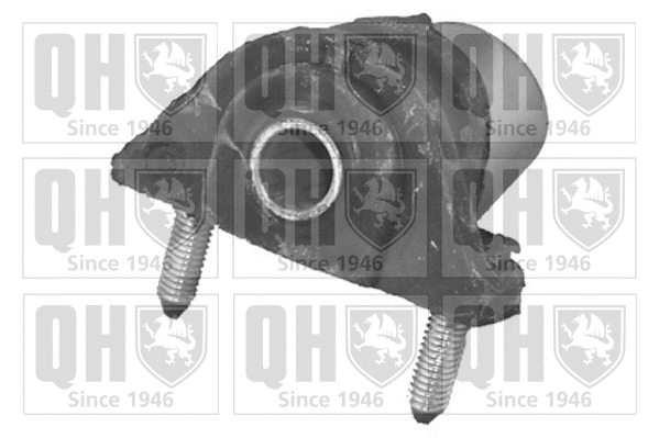 Mounting, control/trailing arm (EMS8216)
