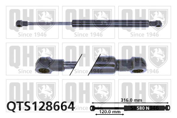 Gas Spring, bonnet (QTS128664)