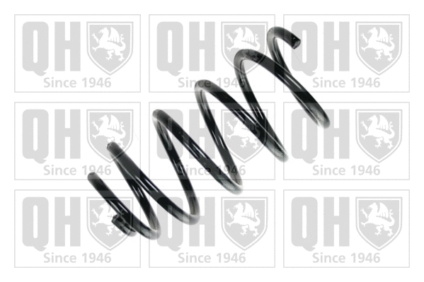 Suspension Spring (QCS8074)