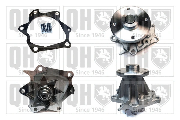 Water Pump, engine cooling (QCP3836)