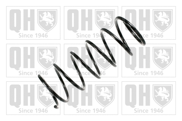 Suspension Spring (QCS6188)