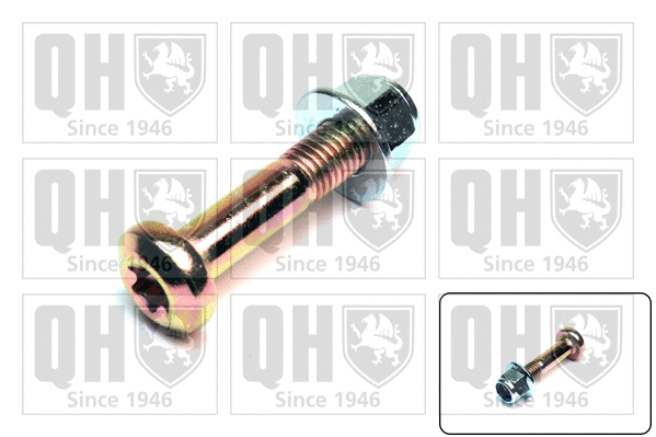 Clamping Screw, ball joint (QSK225S)