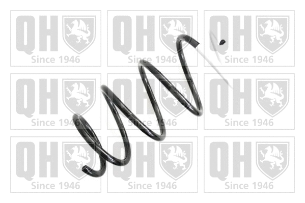 Suspension Spring (QCS5925)