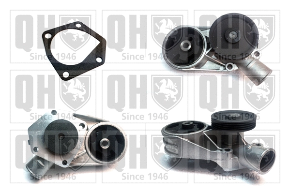 Water Pump, engine cooling (QCP3153)