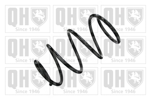 Suspension Spring (QCS7007)