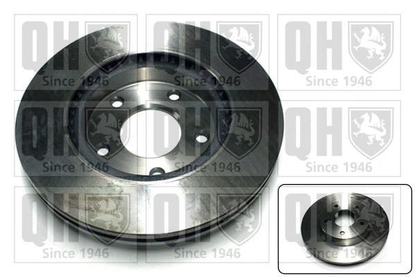 Brake Disc (BDC6029)