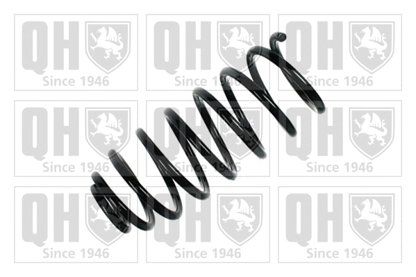 Suspension Spring (QCS5198)