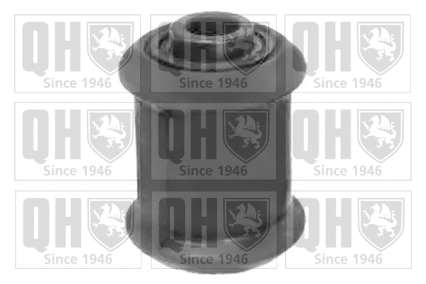 Mounting, control/trailing arm (EMS8207)