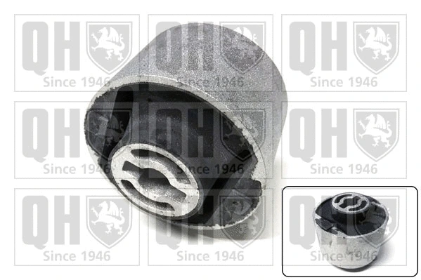 Mounting, control/trailing arm (EMS8335)