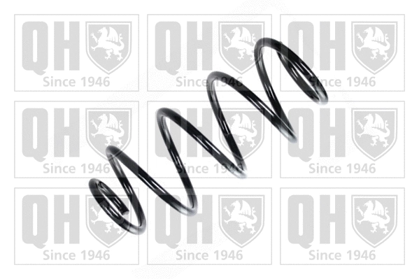 Suspension Spring (QCS5483)